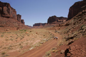 A team treks along a canyon road