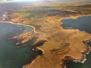 Aerial view of Woolnorth windfarm